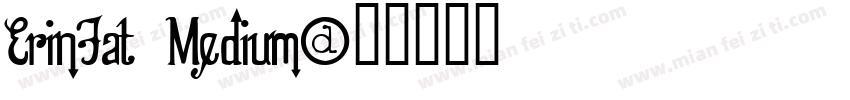 ErinFat Medium字体转换